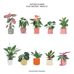 Flat Vector Potted Plants - Pack 01